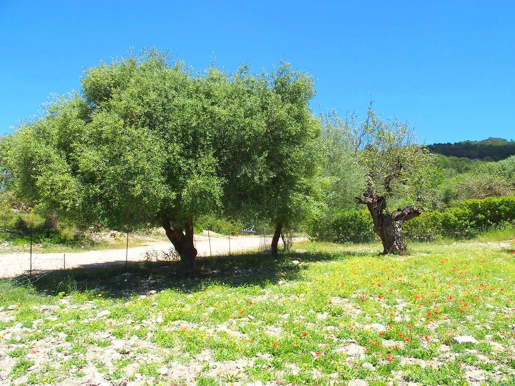 Holiday home Son Reus Villa Es Carritxo Spain