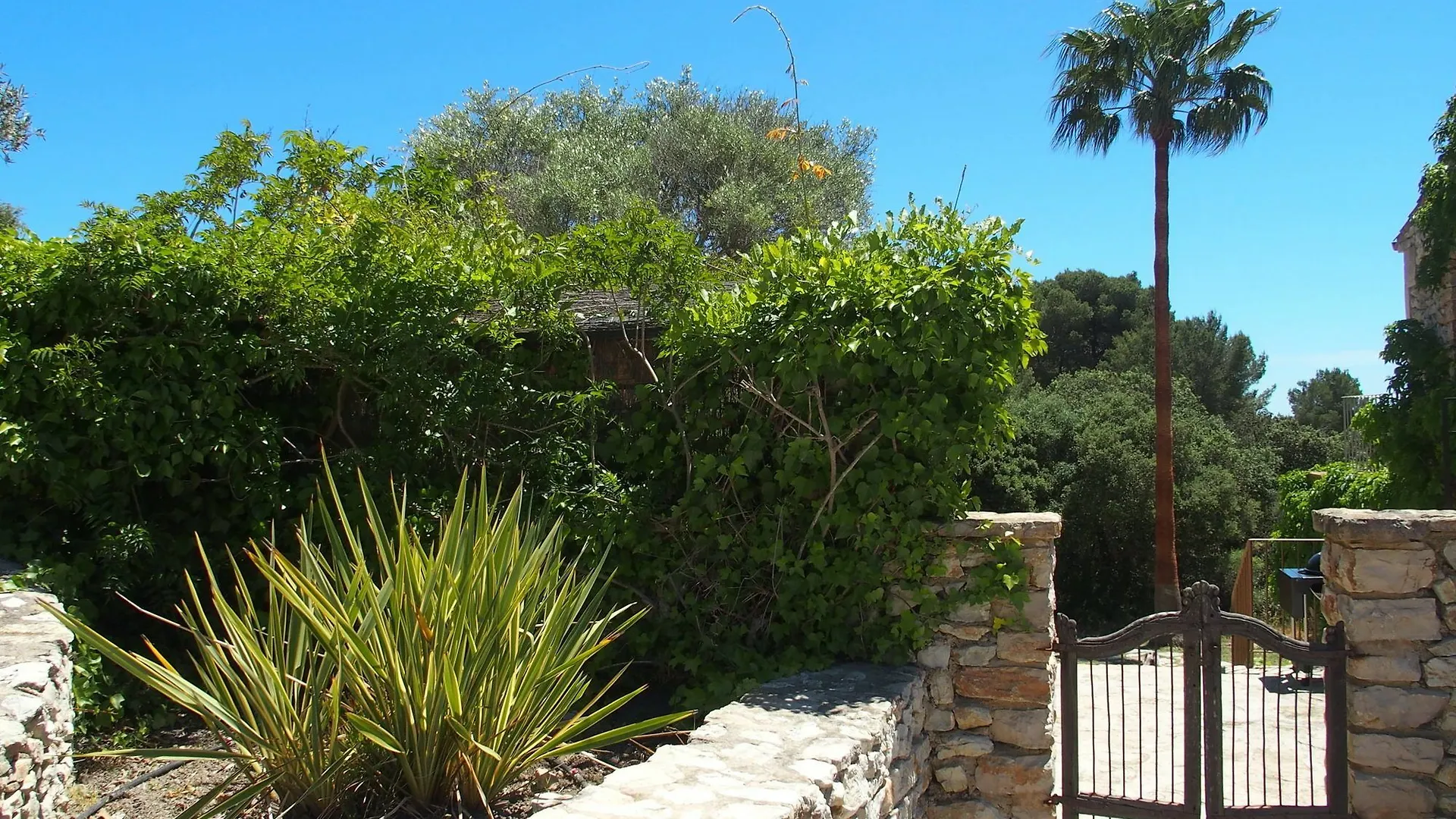Son Reus Villa Es Carritxo Holiday home