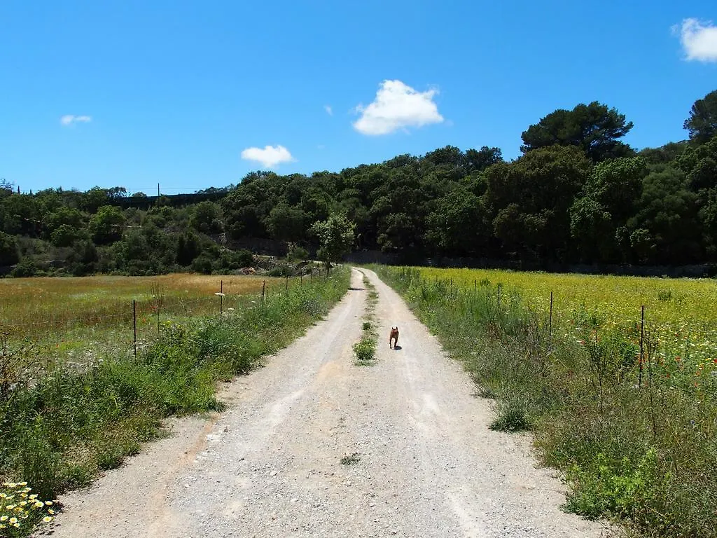 Villa Son Reus Es Carritxó Сasa de vacaciones